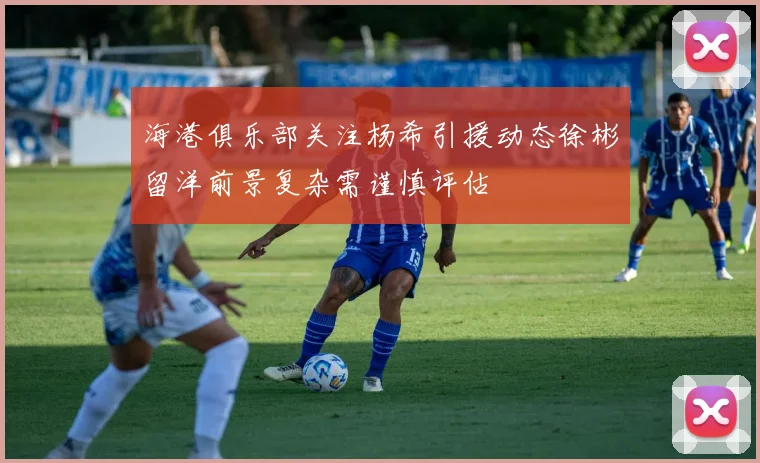 海港俱乐部关注杨希引援动态徐彬留洋前景复杂需谨慎评估
